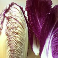 紫白菜